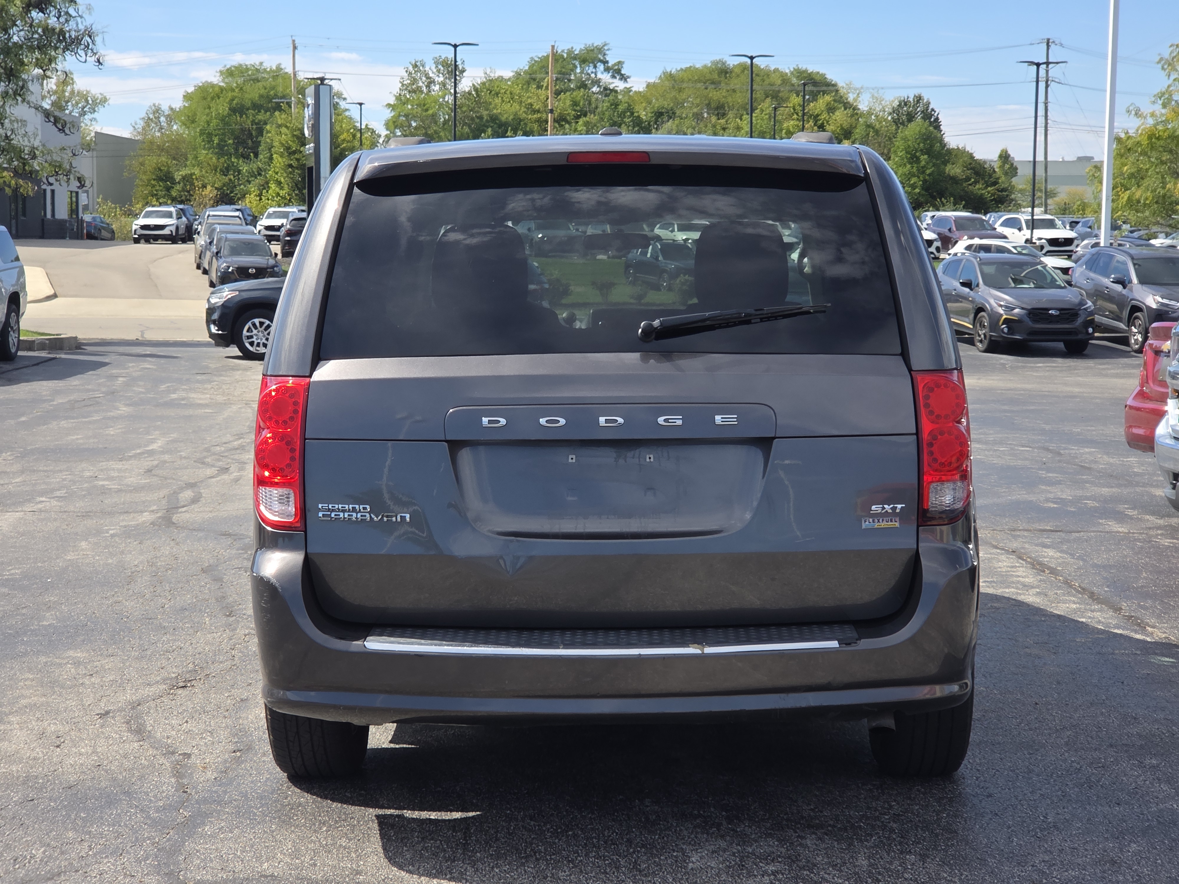 Photo 6